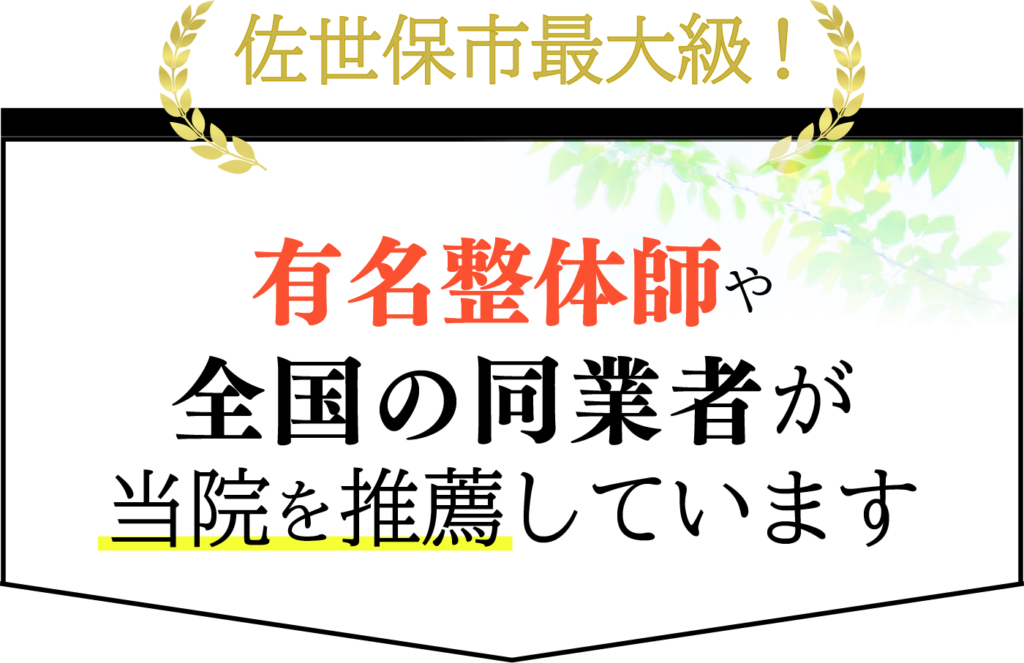佐世保市最大級！有名整体師や全国の同業者が当院を推薦しています。