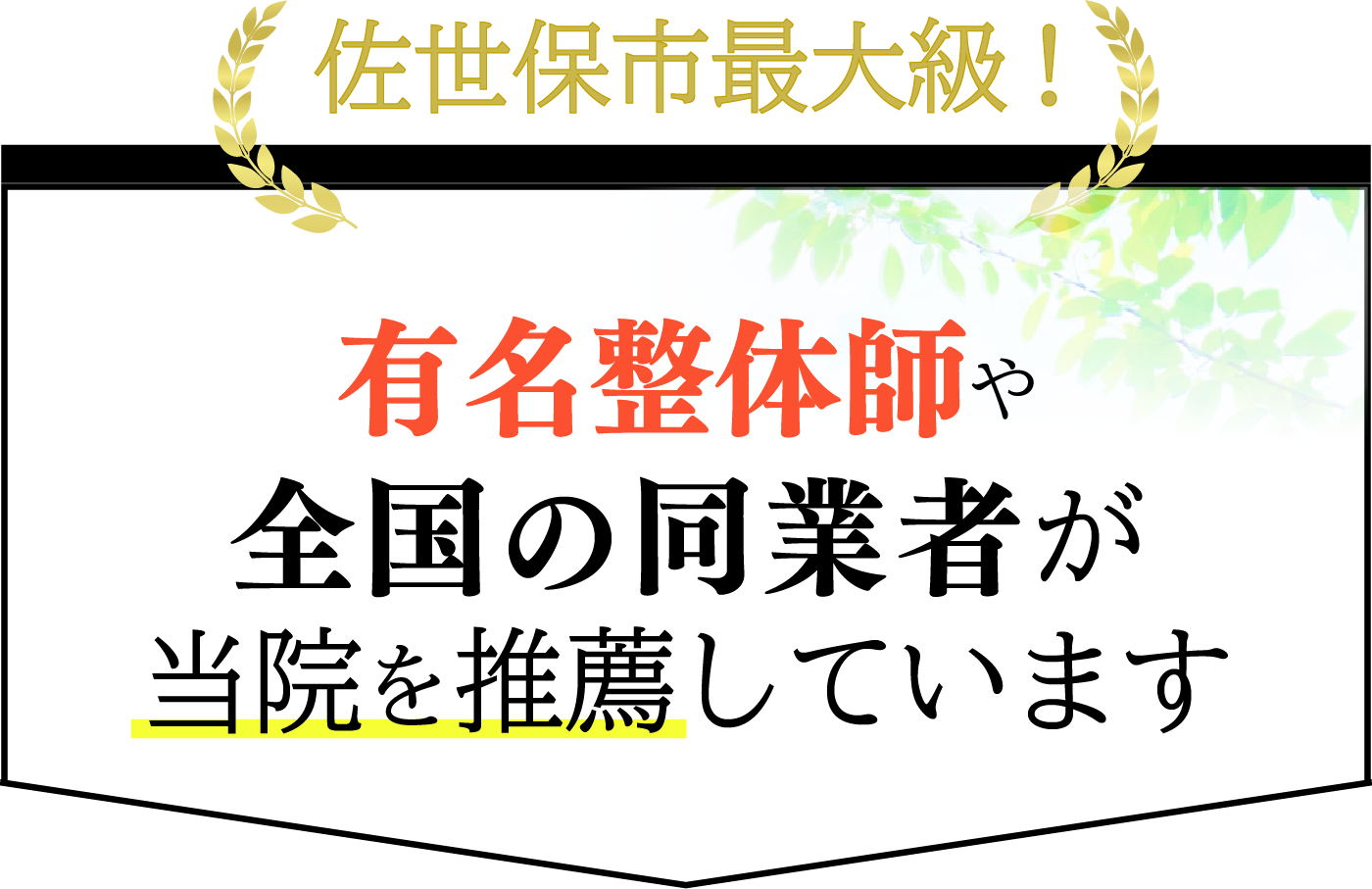 佐世保市最大級！有名整体師や全国の同業者が当院を推薦しています。